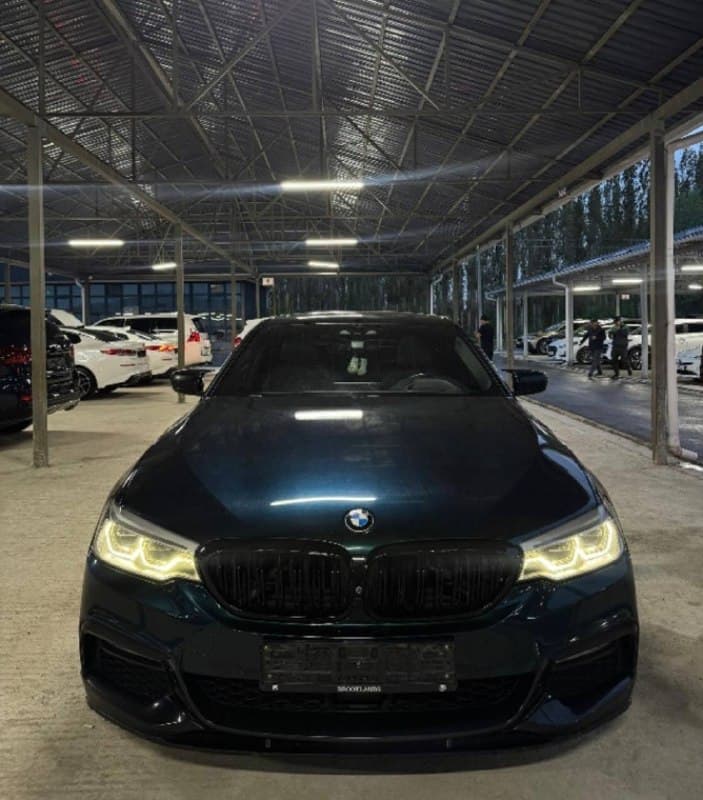 BMW 520d (G30) 2018