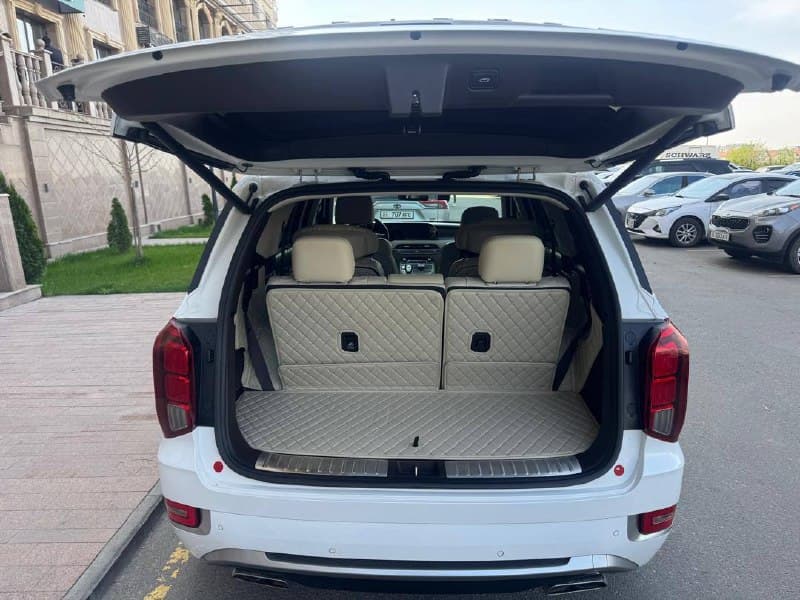 Hyundai Palisade VIP 2020